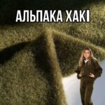 Альпака Трикотаж в цветах